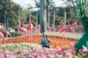 BIB: 
                            <button type="button" onclick="openModal(27344181)" class="btn btn-primary btn-sm float-right btn-popup" data-toggle="modal" data-target=".modal-high-quality">
                        <i class="fas fa-shopping-cart"></i> Add to Cart
                    </button>
                                            <button type="button" onclick="isThisMe(27344181, true)" class="btn btn-success btn-sm float-right btn-popup btn-isme hidden" data-toggle="tooltip" data-placement="bottom" title="นี่คือรูปของคุณใช่ไหม คลิกที่นี่เพื่อเอาเข้าอัลบั้ม">
                        <i class="fas fa-plus"></i> Add to album
                    </button>
                    <button type="button" onclick="isThisMe(27344181, false)" class="btn btn-warning btn-sm float-right btn-popup btn-isnotme hidden">
                        <i class="fas fa-ban"></i> Remove from album
                    </button>